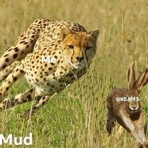 Meet your Posher, Damian